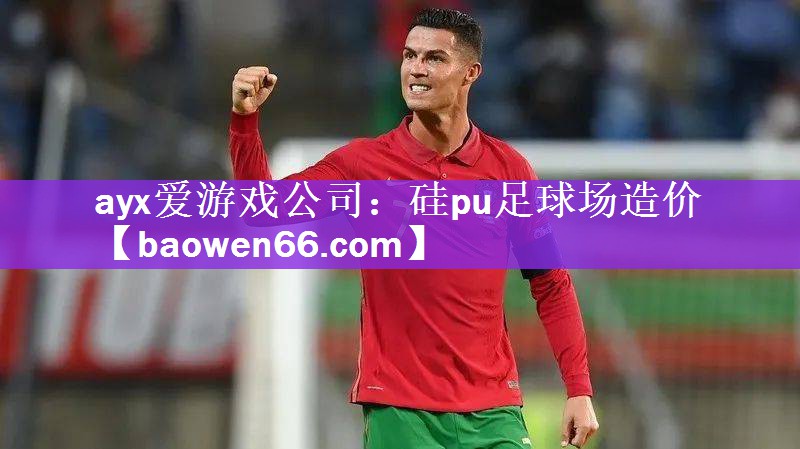 ayx爱游戏公司：硅pu足球场造价