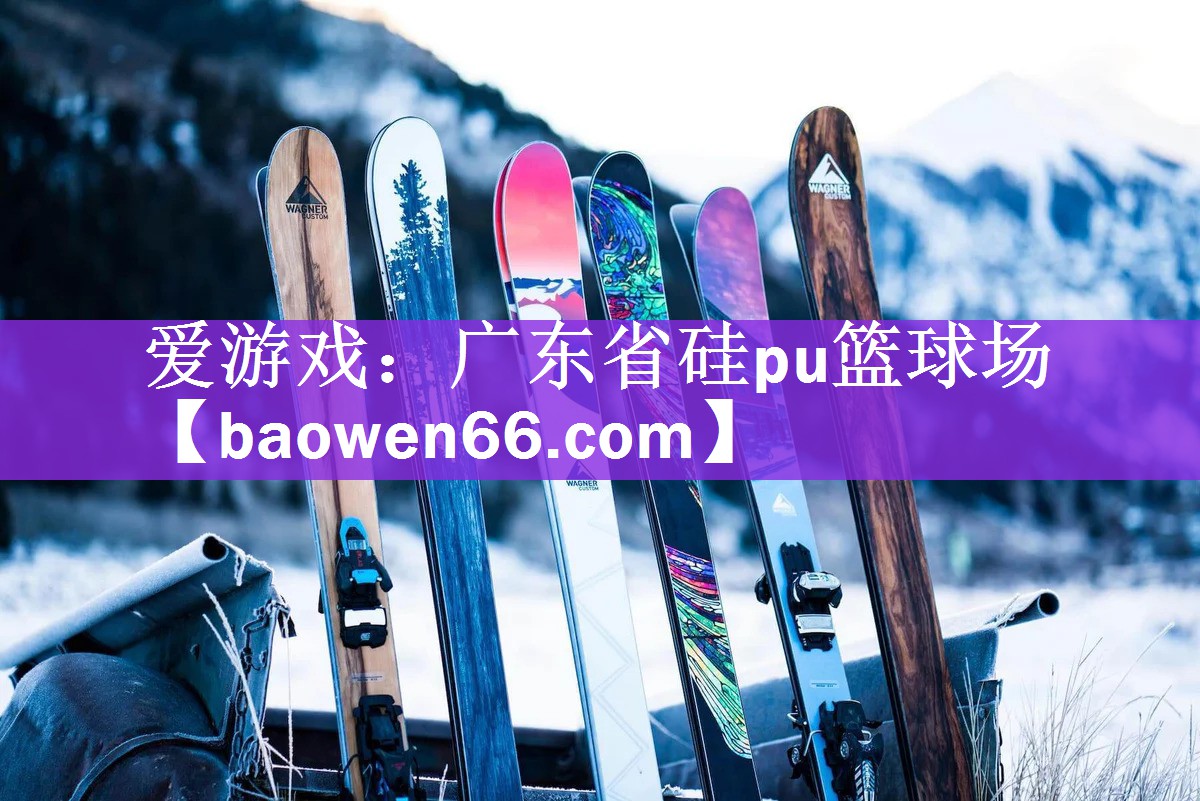 <strong>爱游戏：广东省硅pu篮球场</strong>