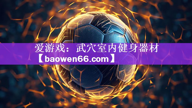 爱游戏：武穴室内健身器材