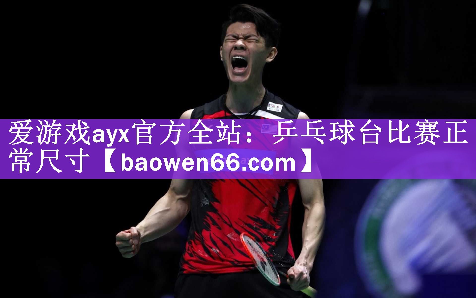 <strong>爱游戏ayx官方全站：乒乓球台比赛正常尺寸</strong>