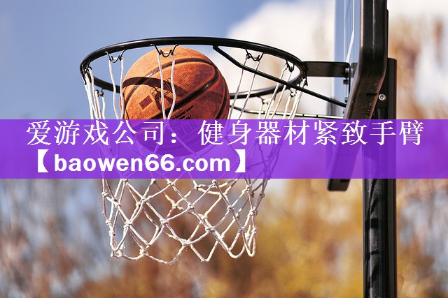 爱游戏公司：健身器材紧致手臂
