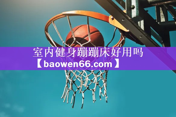 室内健身蹦蹦床好用吗