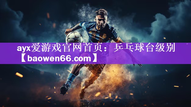 ayx爱游戏官网首页：乒乓球台级别