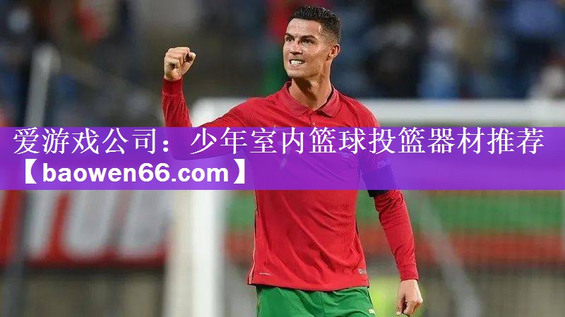爱游戏公司：少年室内篮球投篮器材推荐