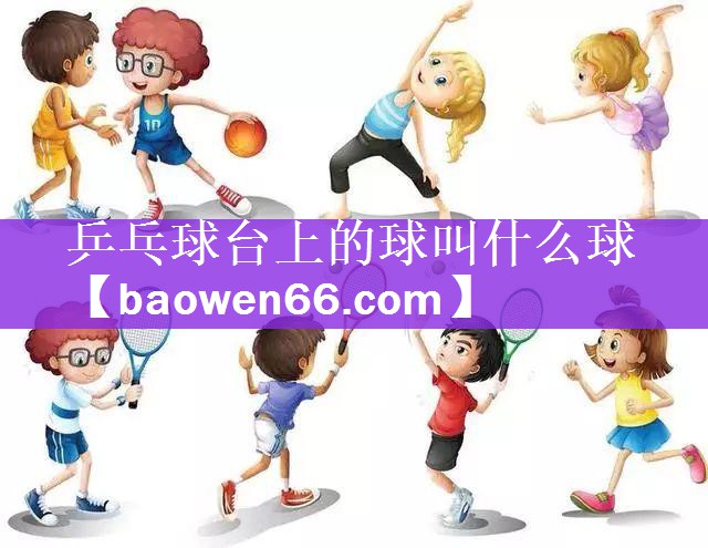 乒乓球台上的球叫什么球
