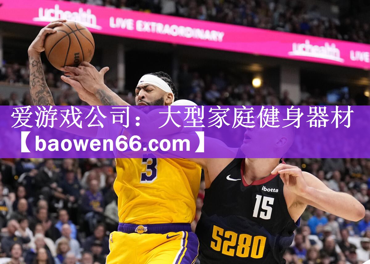 爱游戏公司：大型家庭健身器材