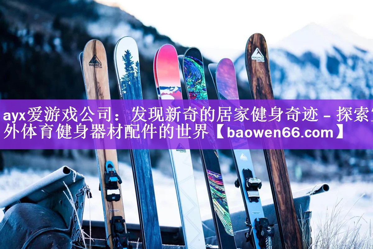 ayx爱游戏公司：发现新奇的居家健身奇迹 – 探索室外体育健身器材配件的世界