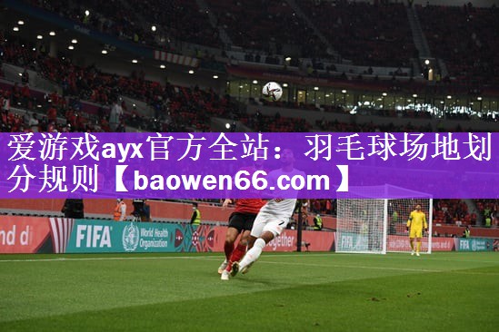 <strong>爱游戏ayx官方全站：羽毛球场地划分规则</strong>