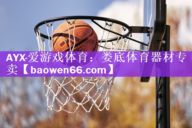<strong>AYX·爱游戏体育：娄底体育器材专卖</strong>