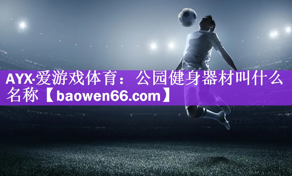 AYX·爱游戏体育：公园健身器材叫什么名称