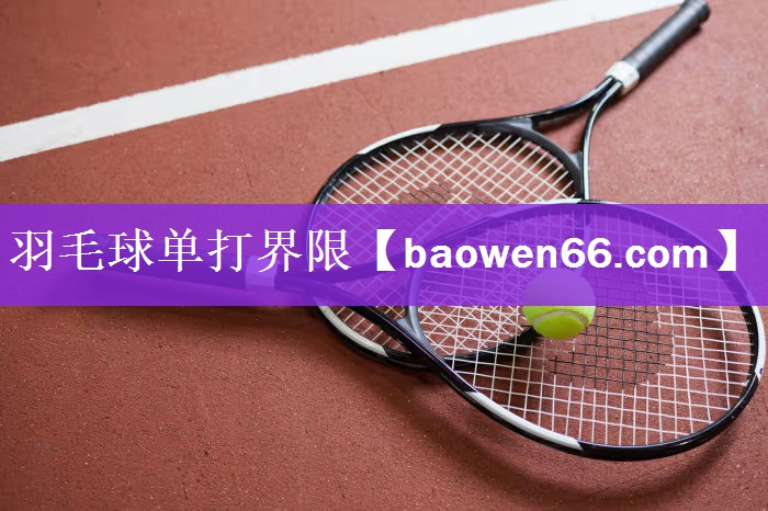 羽毛球单打界限