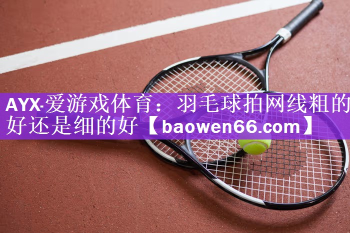 <strong>AYX·爱游戏体育：羽毛球拍网线粗的好还是细的好</strong>