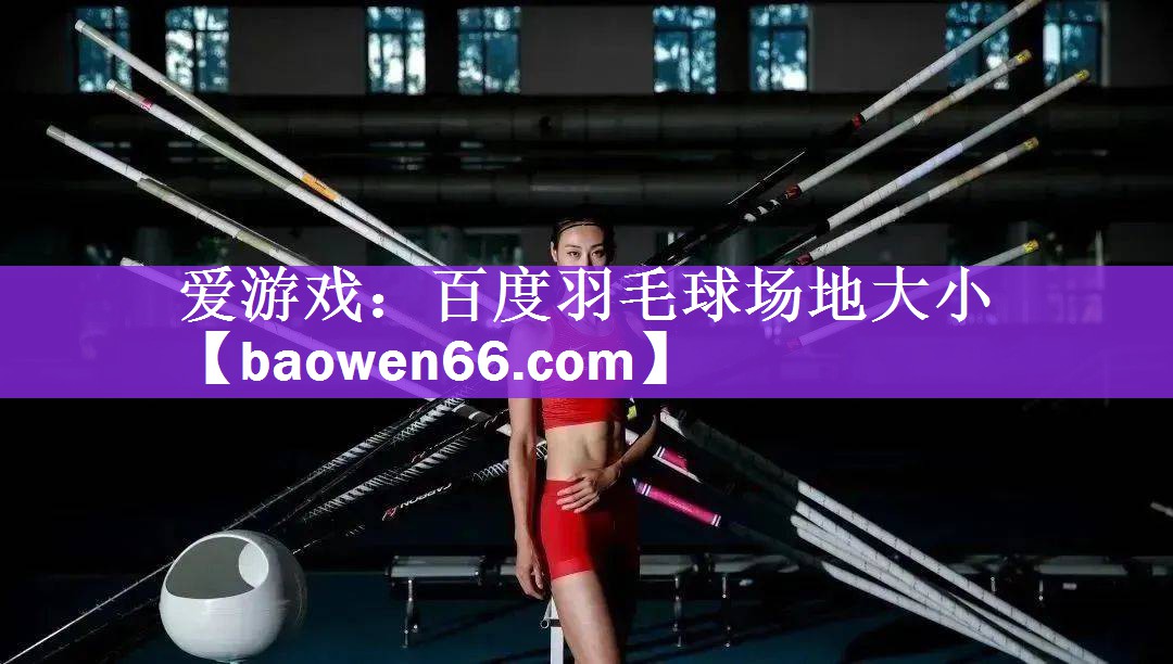 爱游戏：百度羽毛球场地大小