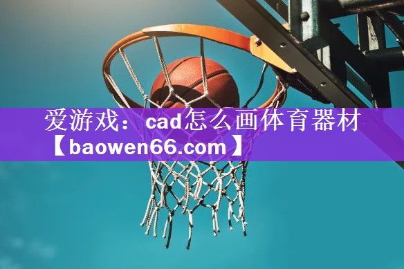 爱游戏：cad怎么画体育器材