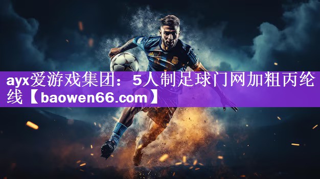 ayx爱游戏集团：5人制足球门网加粗丙纶线
