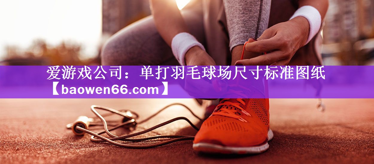 爱游戏公司：单打羽毛球场尺寸标准图纸