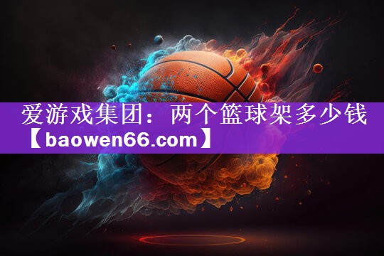 爱游戏集团：两个篮球架多少钱