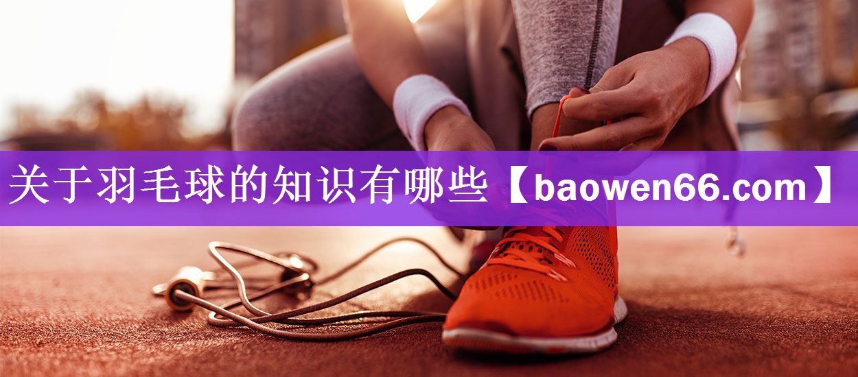 关于羽毛球的知识有哪些