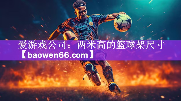 <strong>爱游戏公司：两米高的篮球架尺寸</strong>