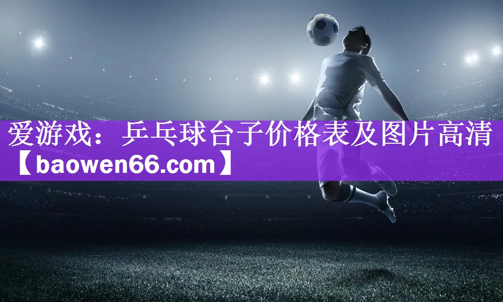 爱游戏：乒乓球台子价格表及图片高清