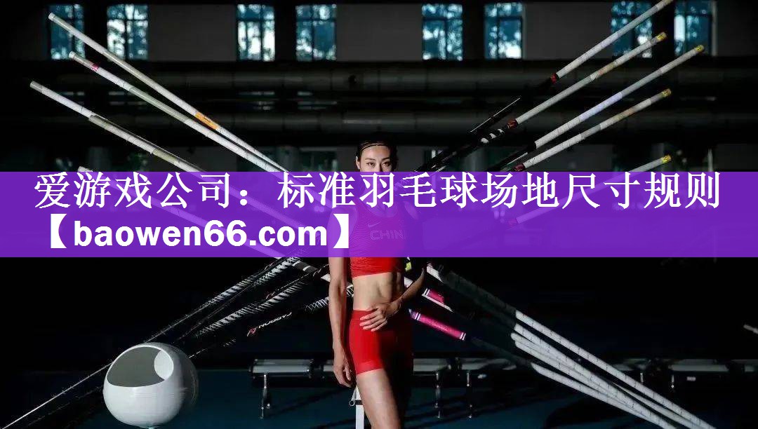 爱游戏公司：标准羽毛球场地尺寸规则