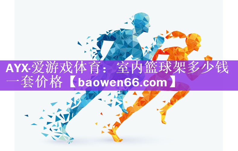 AYX·爱游戏体育：室内篮球架多少钱一套价格