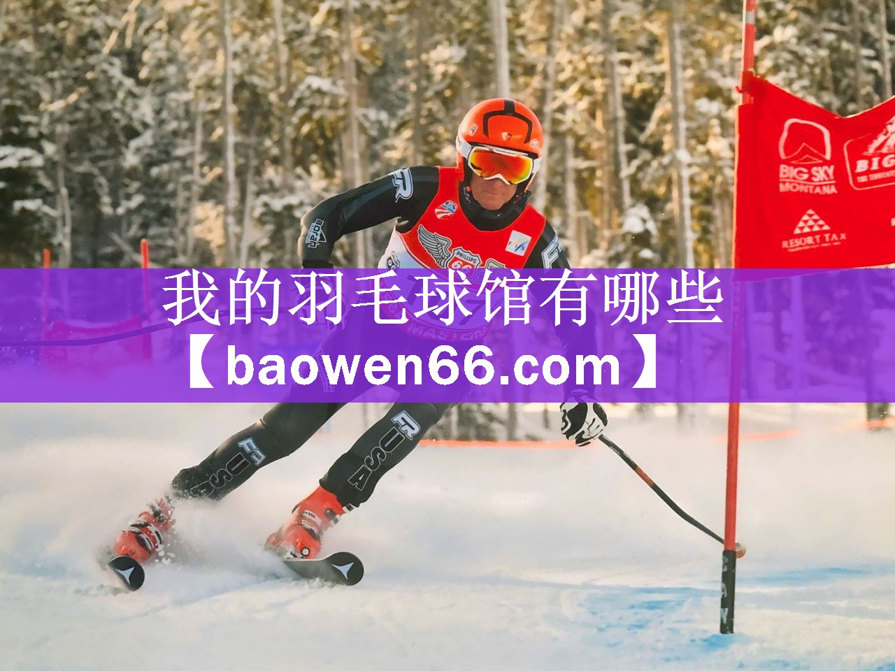 我的羽毛球馆有哪些