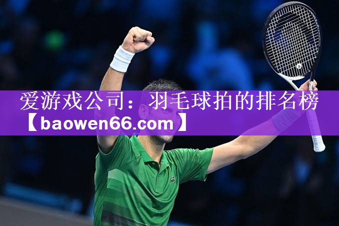 爱游戏公司：羽毛球拍的排名榜