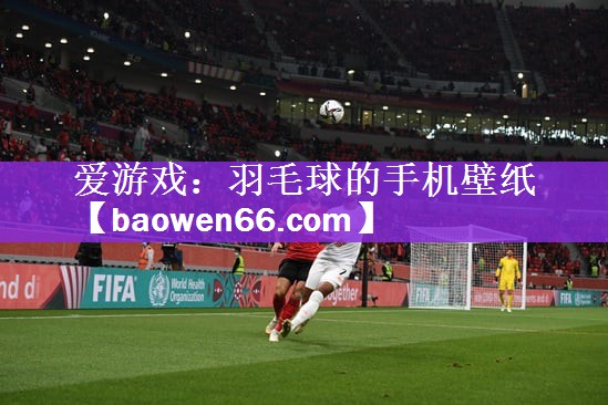 <strong>爱游戏：羽毛球的手机壁纸</strong>