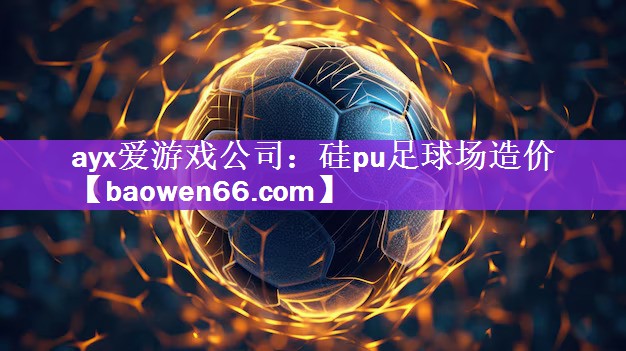 硅pu足球场造价