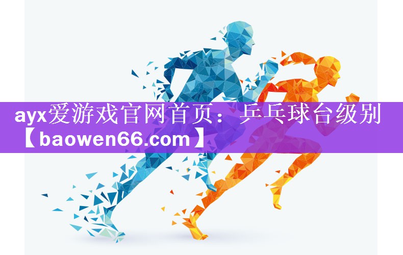 乒乓球台级别