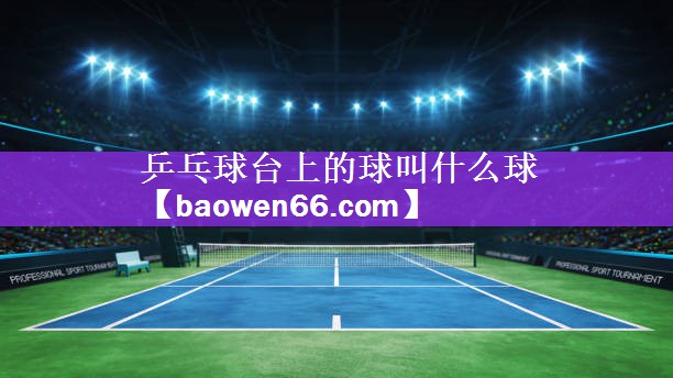 乒乓球台上的球叫什么球