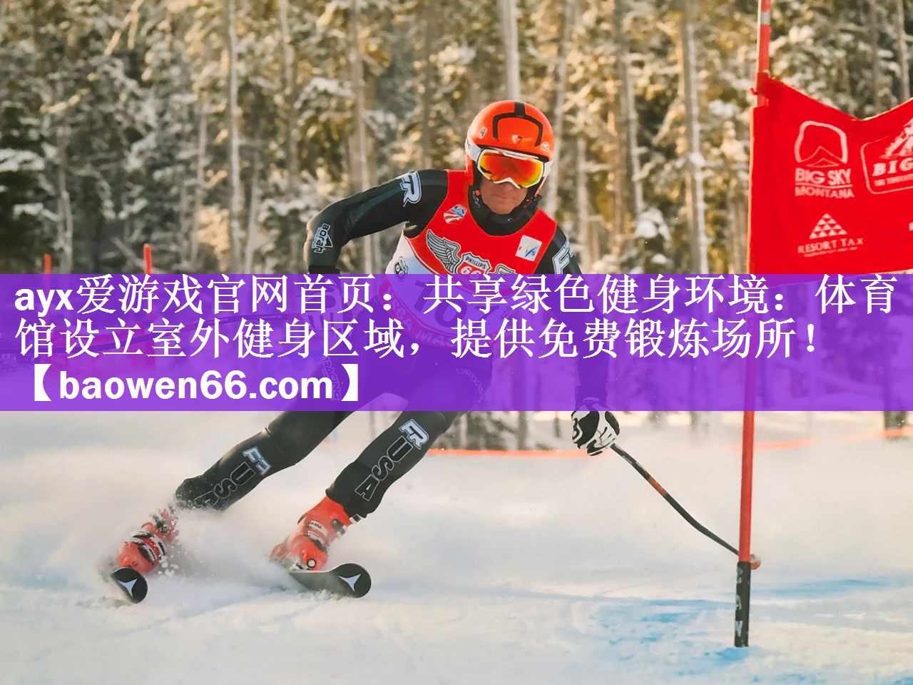 共享绿色健身环境：体育馆设立室外健身区域，提供免费锻炼场所！