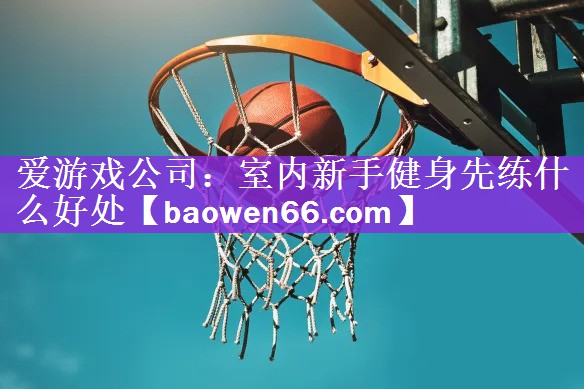 室内新手健身先练什么好处
