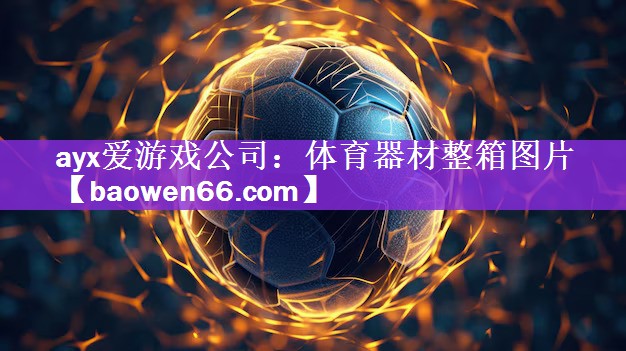 体育器材整箱图片