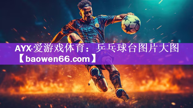 乒乓球台图片大图