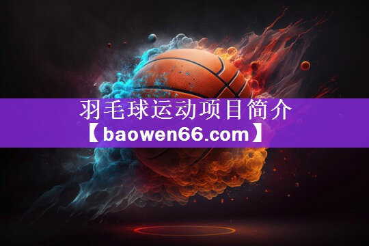 羽毛球运动项目简介