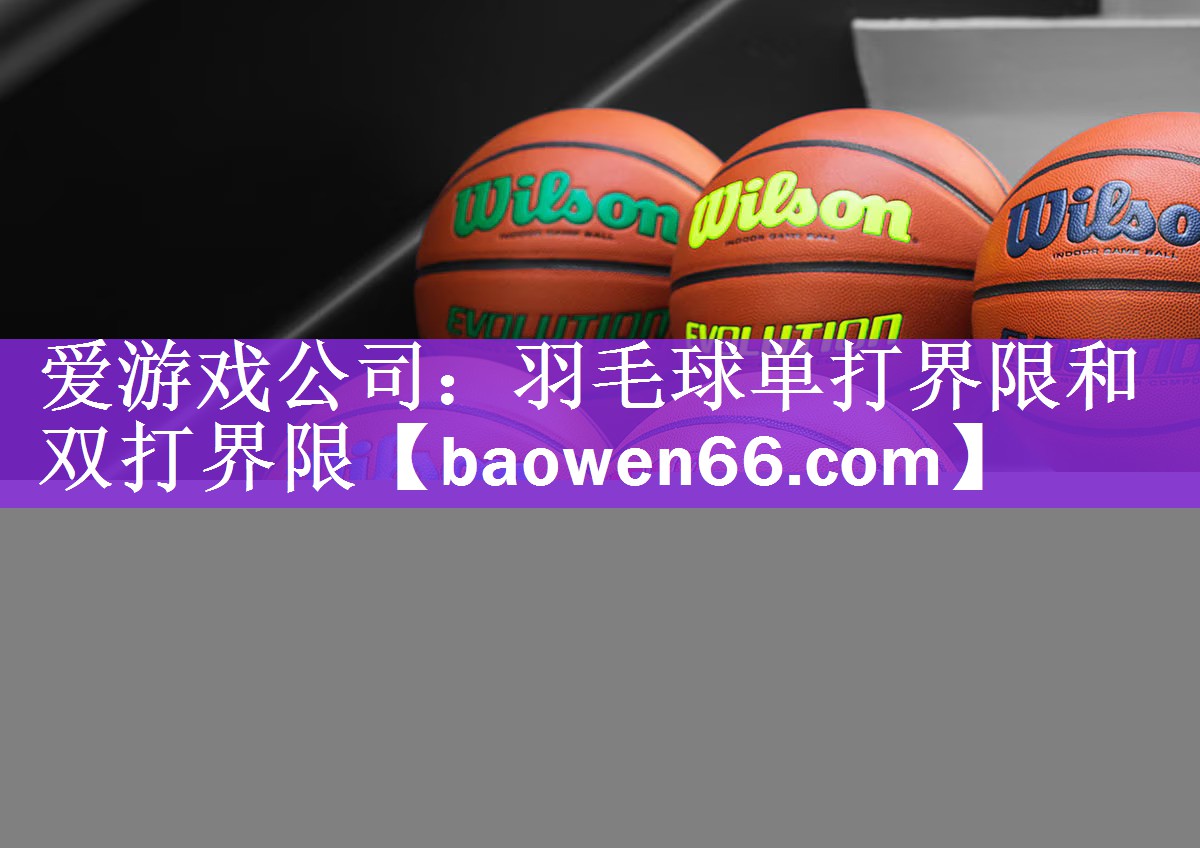 羽毛球单打界限和双打界限