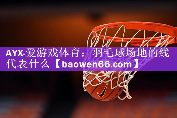 羽毛球场地的线代表什么