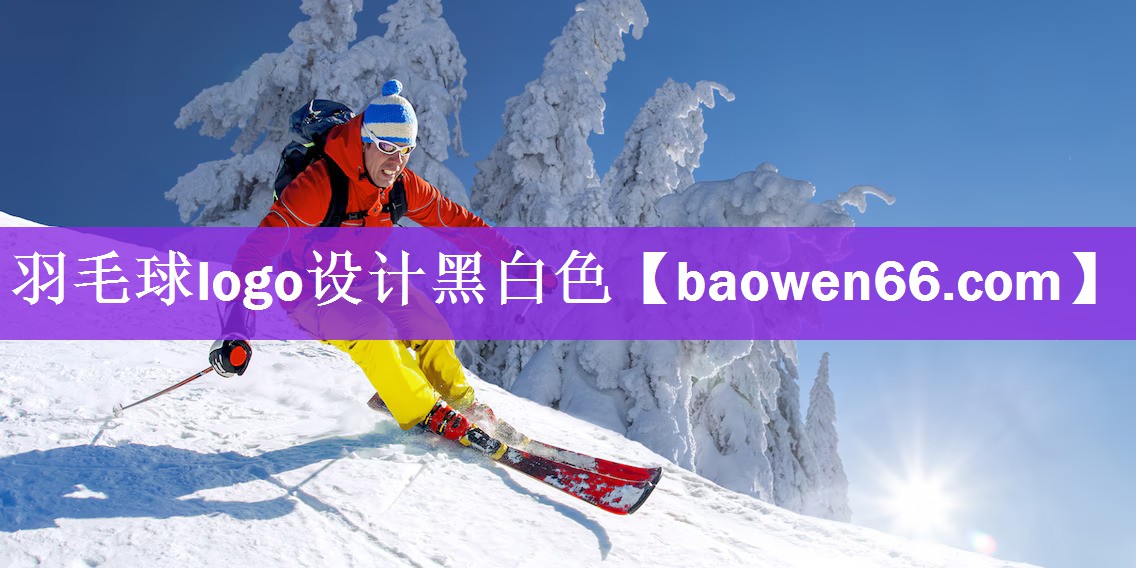羽毛球logo设计黑白色