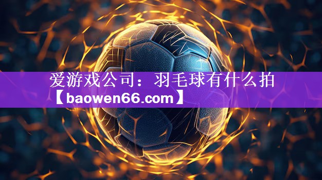 羽毛球有什么拍