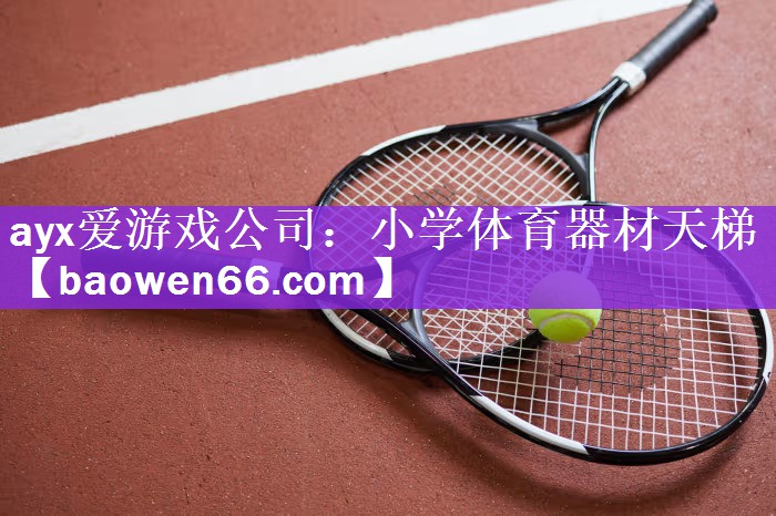 小学体育器材天梯