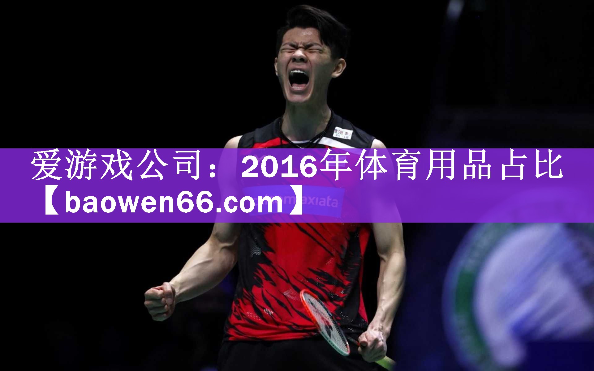 2016年体育用品占比