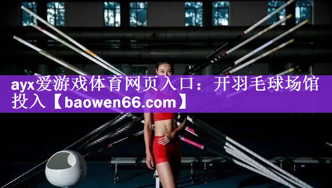 开羽毛球场馆投入