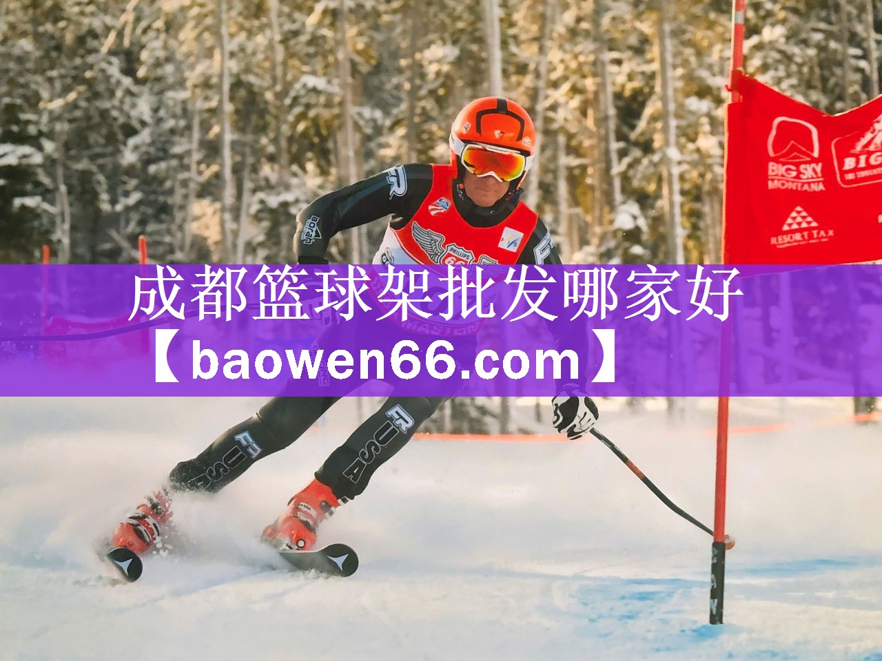 成都篮球架批发哪家好