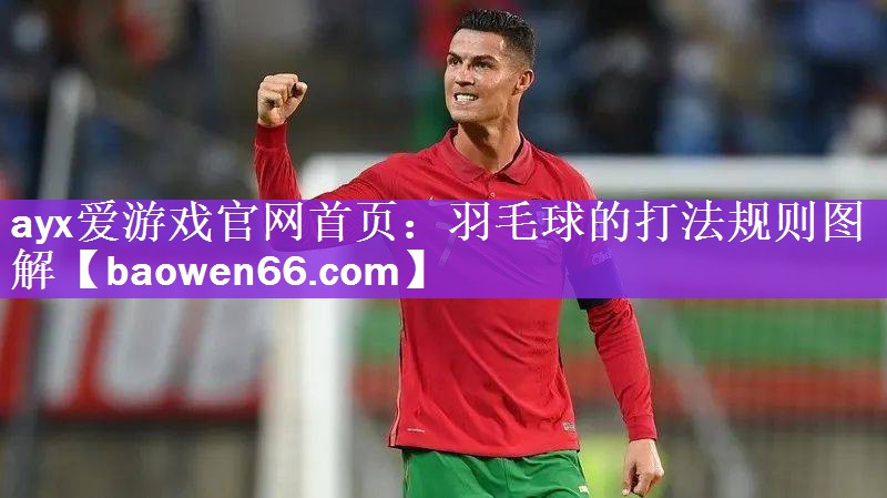羽毛球的打法规则图解